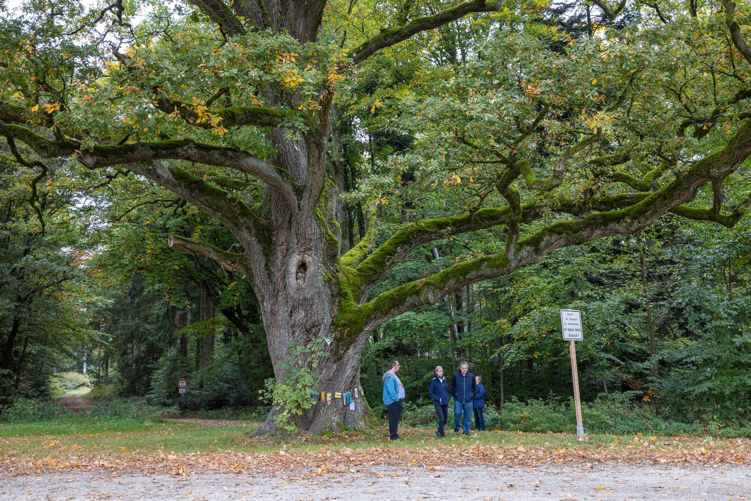 20231015105355 R5D 4379